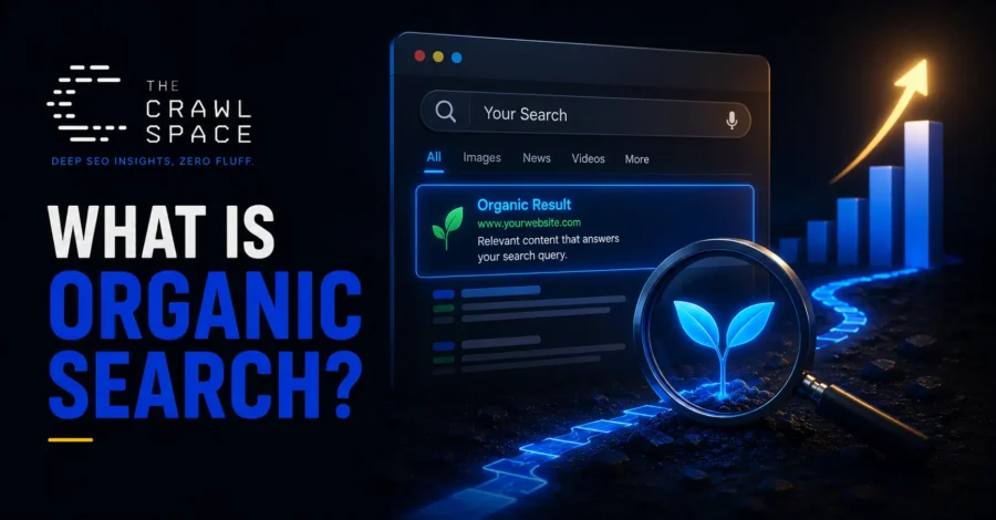 Organic search results showing unpaid website listings and search visibility.